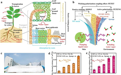 AFMG 高性能纖維及復合材料制造 引領(lǐng)材料科技的未來
